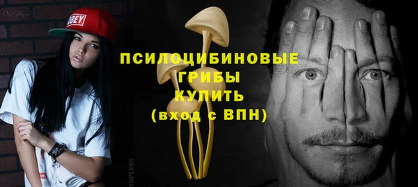 СК Балахна