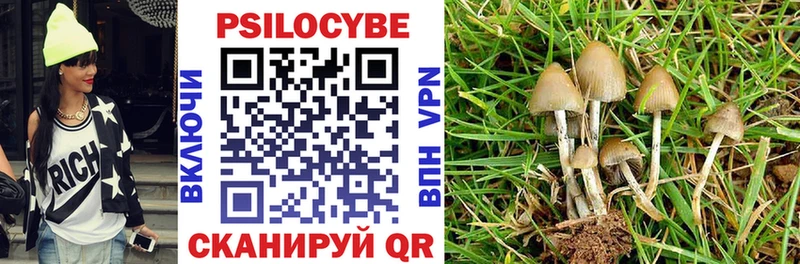 Галлюциногенные грибы MAGIC MUSHROOMS  MEGA tor  Нефтекумск  как найти наркотики 